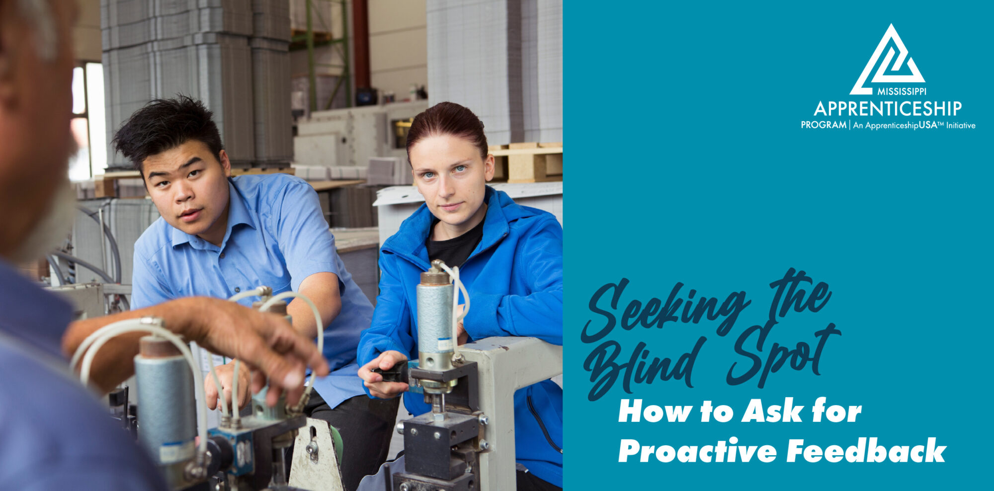 Seeking the Blind Spot: How to Ask for Proactive Feedback